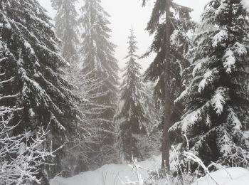 Percorso Racchette da neve La Clusaz - 221210 pointe de beauregard - Photo