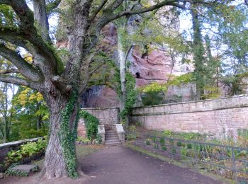 Randonnée A pied Erlenbach bei Dahn - Hans-Trapp-Tour - Photo