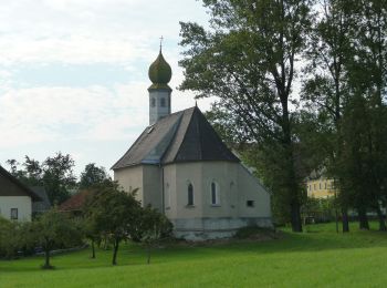 Randonnée A pied Taufkirchen an der Pram - Marterl- und Kapellenweg - Photo