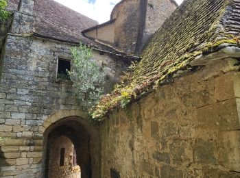 Randonnée Vélo de route Calviac-en-Périgord - VALLÉE DE LA DORDOGNE- PARCOURS OUEST DEPUIS CALVIAC EN PÉRIGORD  - Photo