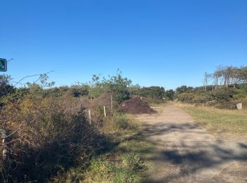 Tocht Stappen Tarnos - Promenade sud côte Landaise  - Photo