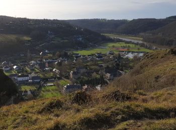 Randonnée Marche Dinant - Balade à Dinant - La Réserve Naturelle de Moniat - Photo