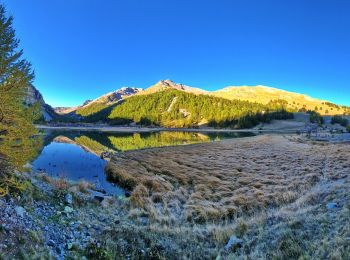 Randonnée Marche Jausiers - Cîme de Voga Via Jausier (lac de Sagne) - Photo