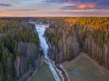 Trail On foot Sipoo - Kalkkiruukki - Fiskträsk - Photo