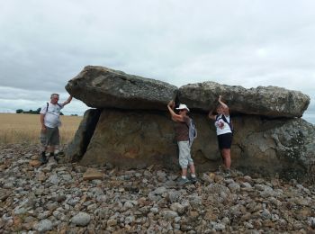 Excursión Senderismo Plaine-et-Vallées - DEUX SEVRES / THOUARSAIS: LES MEGALITHES - Photo