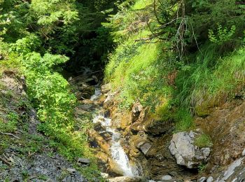 Percorso Marcia Châtel - Boucle Pré  la Joux - Col de Bachassaux - Photo