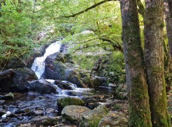 Trail Walking Roussillon-en-Morvan - Roussillon en Morvan - Photo