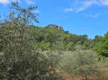 Randonnée Marche Nans-les-Pins - De Nans les pins vers les sources de l'Huveaune - Photo