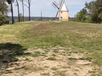 Randonnée Marche Langlade - Langlade -  Moulin Oppidum de Nages - Photo