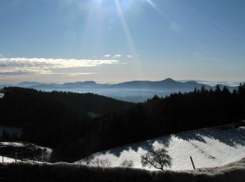 Tocht Te voet Slovenska Bistrica - Naravoslovna učna pot Kebelj (zahtevnejša) - Photo