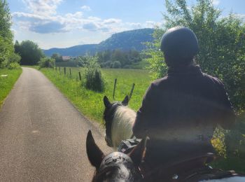 Tour Pferd Celles-sur-Plaine - Wikiloc - Celles-sur-Plaine : Gîte de la Crémaillotes - Photo