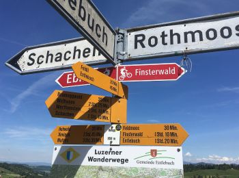 Trail On foot Entlebuch - Chlosterwald - Rengg - Photo