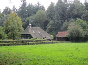 Percorso A piedi Raalte - WNW Salland - Heino/Den Alerdinck/De Colckhof - gele route - Photo