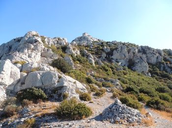 Excursión Senderismo Eyguières - La Tour des Opies - Photo