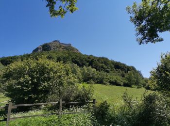 Trail Walking Montségur - CLA09-08 Château de Montségur - Photo