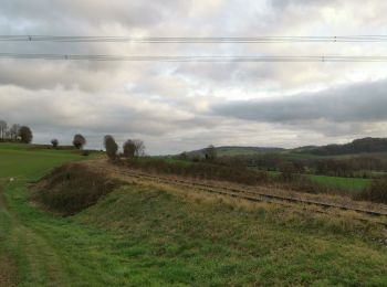 Randonnée Marche Envermeu - Le bucq bois de Pimont breuilly bellengreville envermeu - Photo