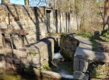 Trail Walking Asnières-sur-Oise - randonnée en forêt de bâillon et campagne - Photo