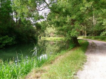 Randonnée Marche Monts - Monts - la Horaie Circuit avec routes - 16.6km 130m 3h40 - 2022 06 16 - Photo