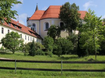 Percorso A piedi Brennberg - T 8 Frauenzell - Breitenstein - Kruckenberg - Photo