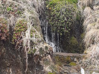 Excursión Senderismo Bourg-d'Oueil - Bourg d'Oueil - Photo