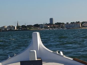 Randonnée Bateau à moteur Arcachon - Tour de l'île aux Oiseaux - Photo