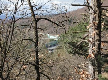 Excursión A pie Gemeinde Gießhübl - Mittlere Gießhübler Runde - Photo