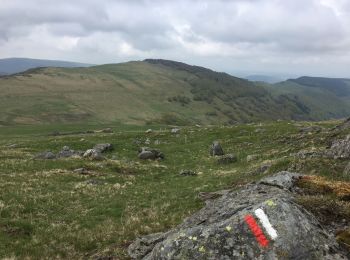 Randonnée Marche Murat - GR400 Tour du Cantal - Photo