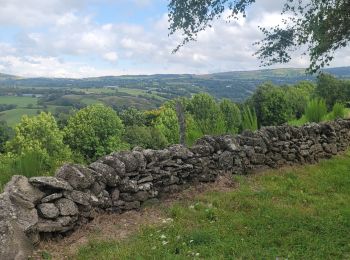 Excursión Bici eléctrica Saint-Urcize - st urcize laguiole st chery - Photo