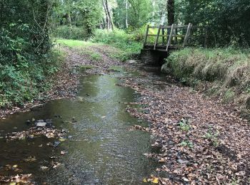 Excursión Senderismo Baulon - 28.09.2019 - De Baulon-ouest à Maxent - Photo