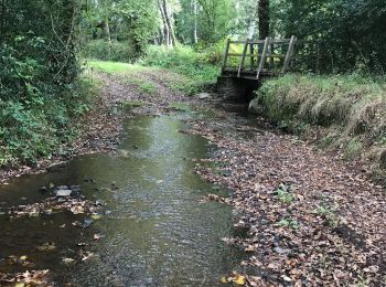 Randonnée Marche Baulon - 28.09.2019 - De Baulon-ouest à Maxent - Photo