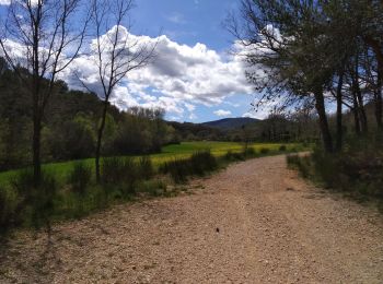 Trail Walking Saint-Zacharie - Chambeyron - Photo