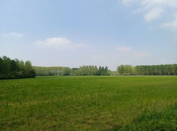 Randonnée Marche Antoing - BruBer/Péronnes-Lez-Antoing #1 - Photo