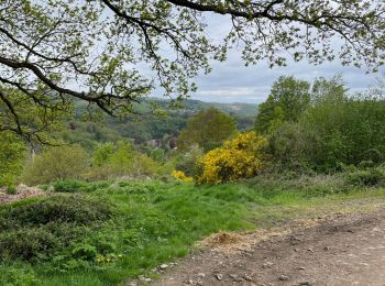 Randonnée Marche Olne - Crucifix panorama échaliers Forêt - Photo