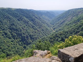 Excursión Senderismo Camps-Saint-Mathurin-Léobazel - Camps - Mercoeur - Photo
