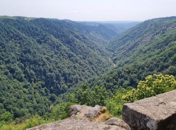 Tour Wandern Camps-Saint-Mathurin-Léobazel - Camps - Mercoeur - Photo