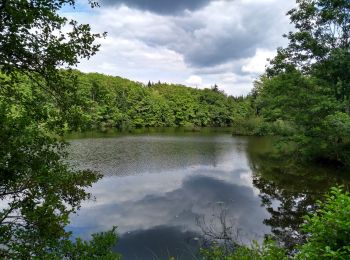 Tour Wandern Faucogney-et-la-Mer - 18-07-20 Faucogney, étangs ... - Photo