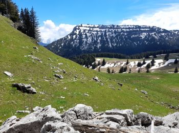 Excursión Senderismo La Roche-sur-Foron - GLIERES / BORNES: LE CHENET - SUR COU - COL DU FREU - ROCHE PARNAL - COL DU CABLE - BALME - Photo