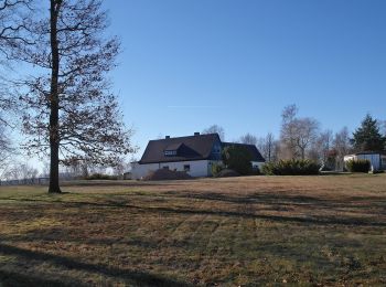 Percorso A piedi Freital - Windberg-Rundweg - Photo