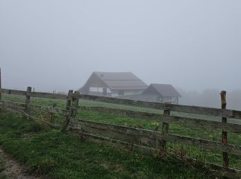 Percorso Marcia Bușteni - busteni-sinaia - Photo