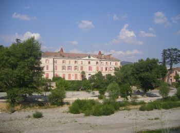 Percorso A piedi Malijai - Les chemins de Puimichel - Photo