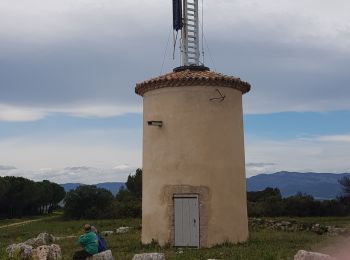 Tour Wandern Aumelas - Aumelas - le Télégraphe  - Photo