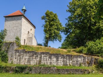 Randonnée A pied Hirschbach - Eschenfelden Rundweg 9 - Photo