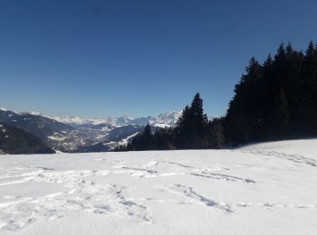 Tocht Sneeuwschoenen Ugine - Hery - Belieuvre - Photo