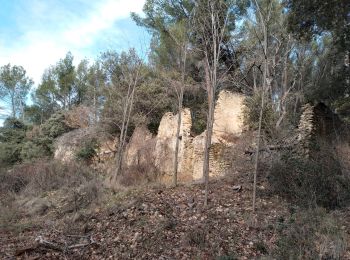 Randonnée Marche Oraison - forêt domaniale des pénitents sud - Photo