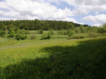 Excursión A pie Schotten - Gipfeltour Schotten - Photo