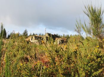 Tocht Stappen Brasparts - circuit du gorre - Photo