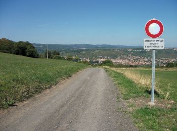 Trail On foot Blanzat - Le Site des Côtes - Photo