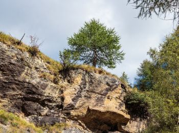 Tour Zu Fuß Peio - Sentiero della Val Cadini - Photo