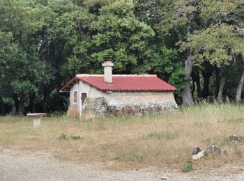 Trail Walking Signes - Boucle Chibron - Haut Latay - Photo