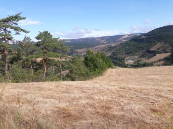 Randonnée Marche Rivière-sur-Tarn - Massagal - Photo